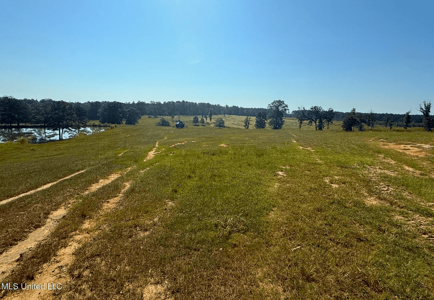 Rolling Hills Pastureland and Wooded land for sale