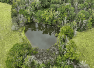 Prentiss MS Pasture Land for sale