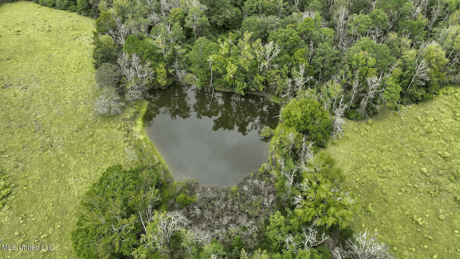 Prentiss MS Pasture Land for sale