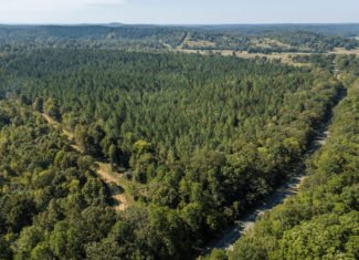 650 Acres Timberland and Lake Site Calhoun County MS