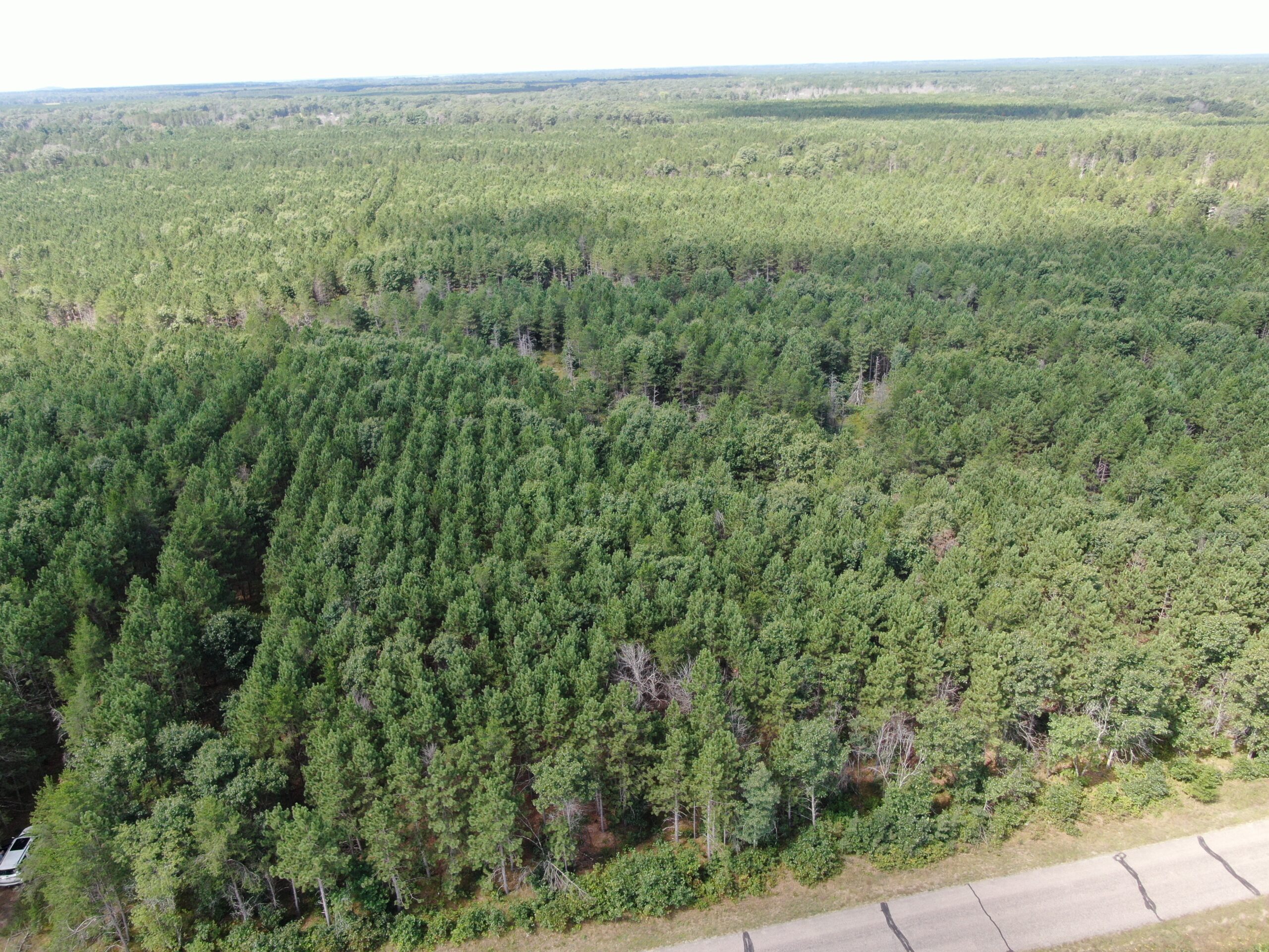 80-acre timber tract in the Town of Big Flats