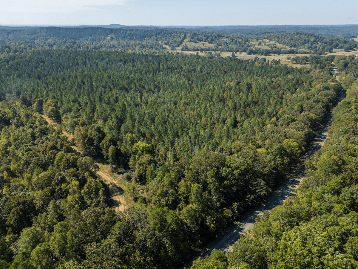 650 Acres Timberland and Lake Site Calhoun County MS