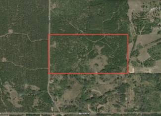 80-acre timbered tract in the Town of Big Flats, Adams County