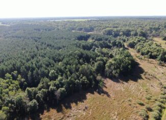 80-acre timber tract in Adams County
