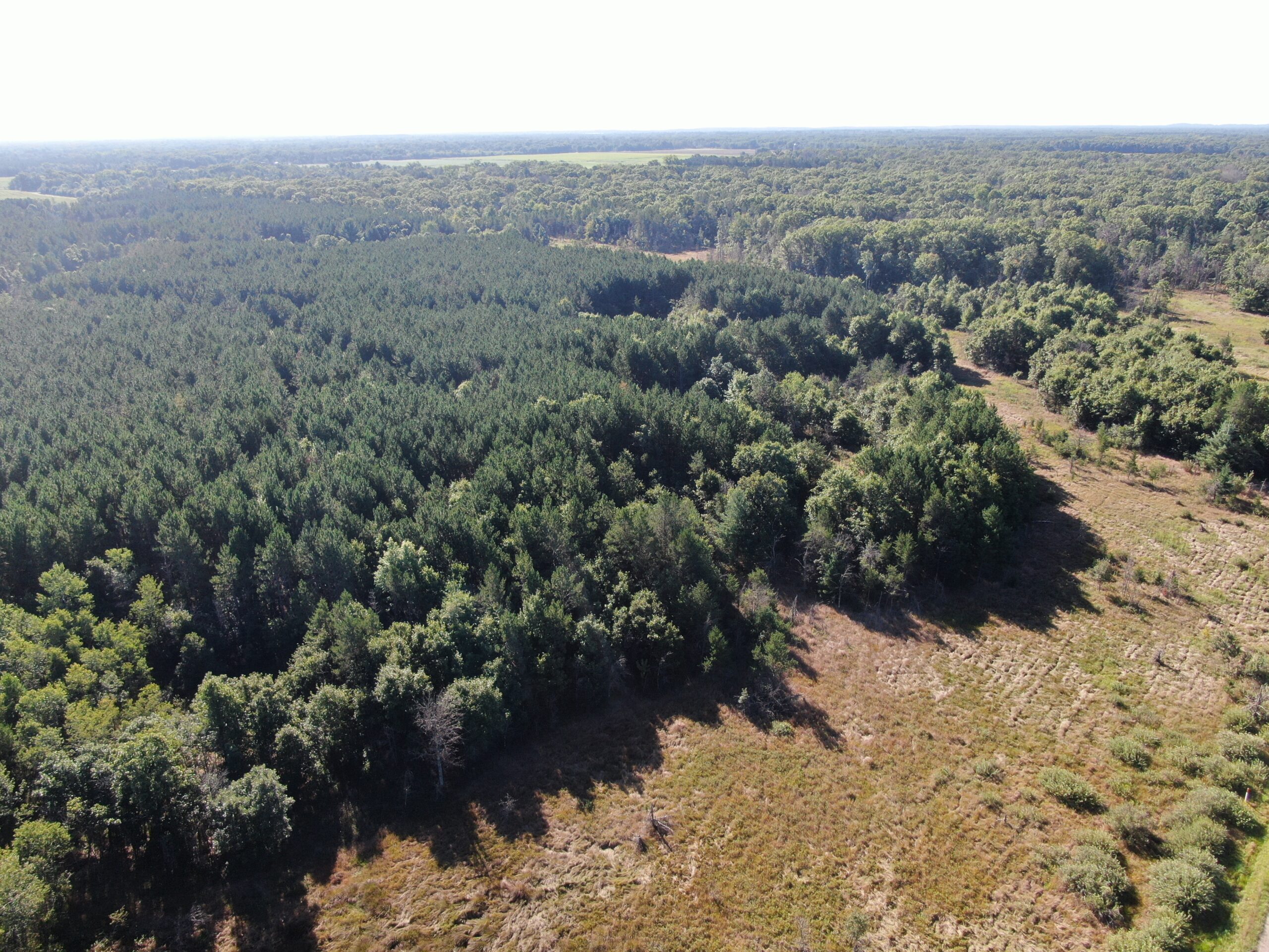 80-acre timber tract in Adams County