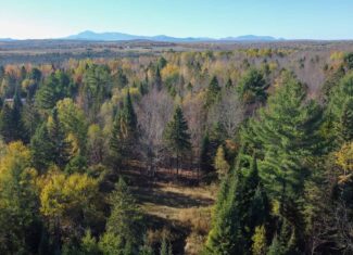 Maine Country Home on 36 Acres of Peace and Privacy