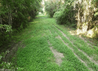 48 Acres for Sale in Jones County, MS Ellisvillle, MS