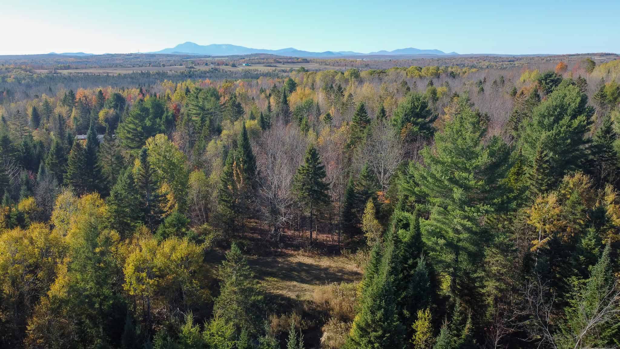 Maine Country Home on 36 Acres of Peace and Privacy