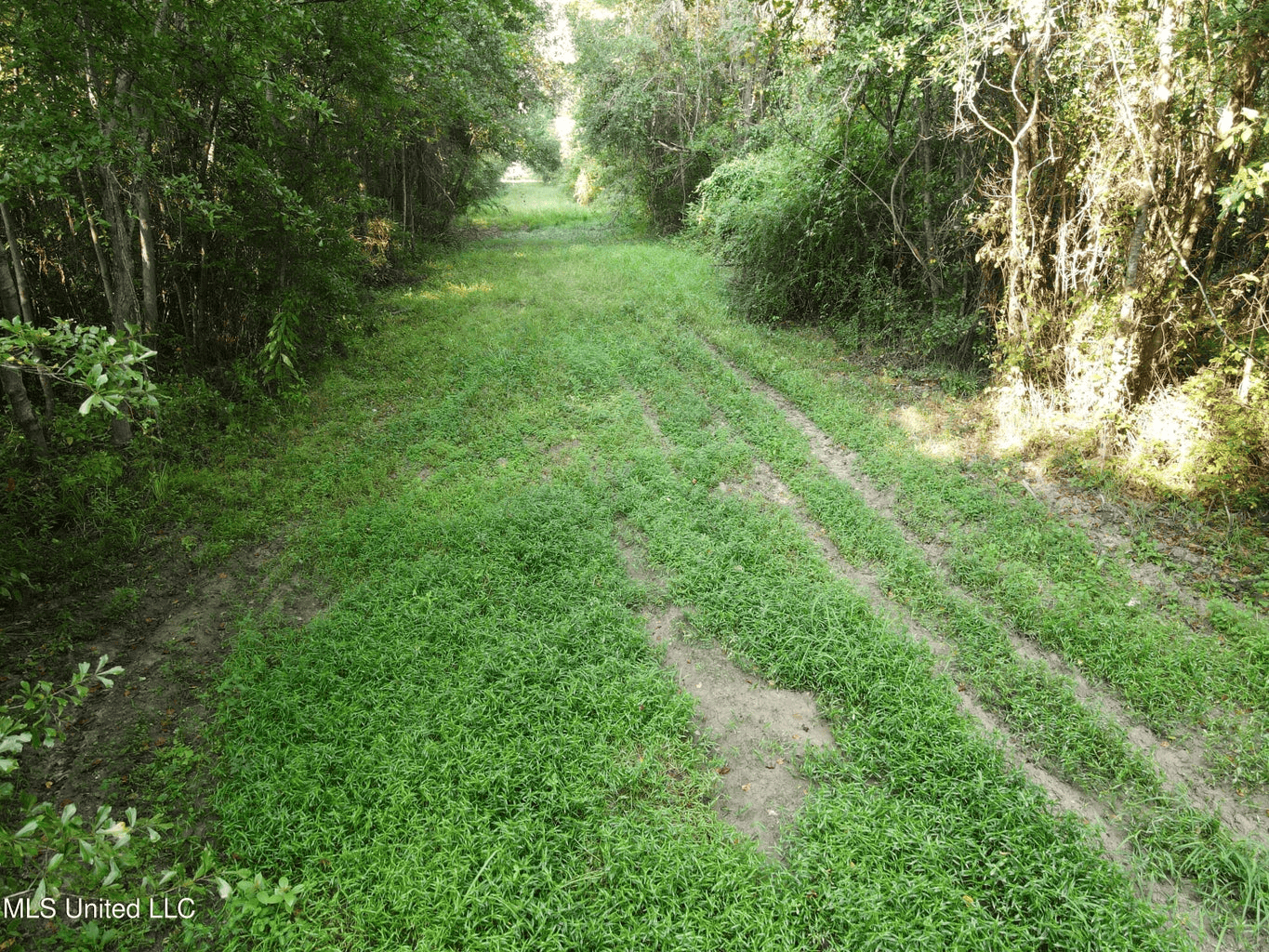 48 Acres for Sale in Jones County, MS Ellisvillle, MS