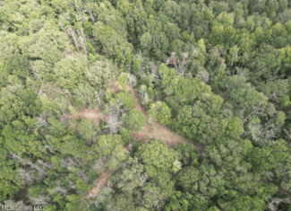 Hunting Land in Claiborne County, MS – The Sawmill 98
