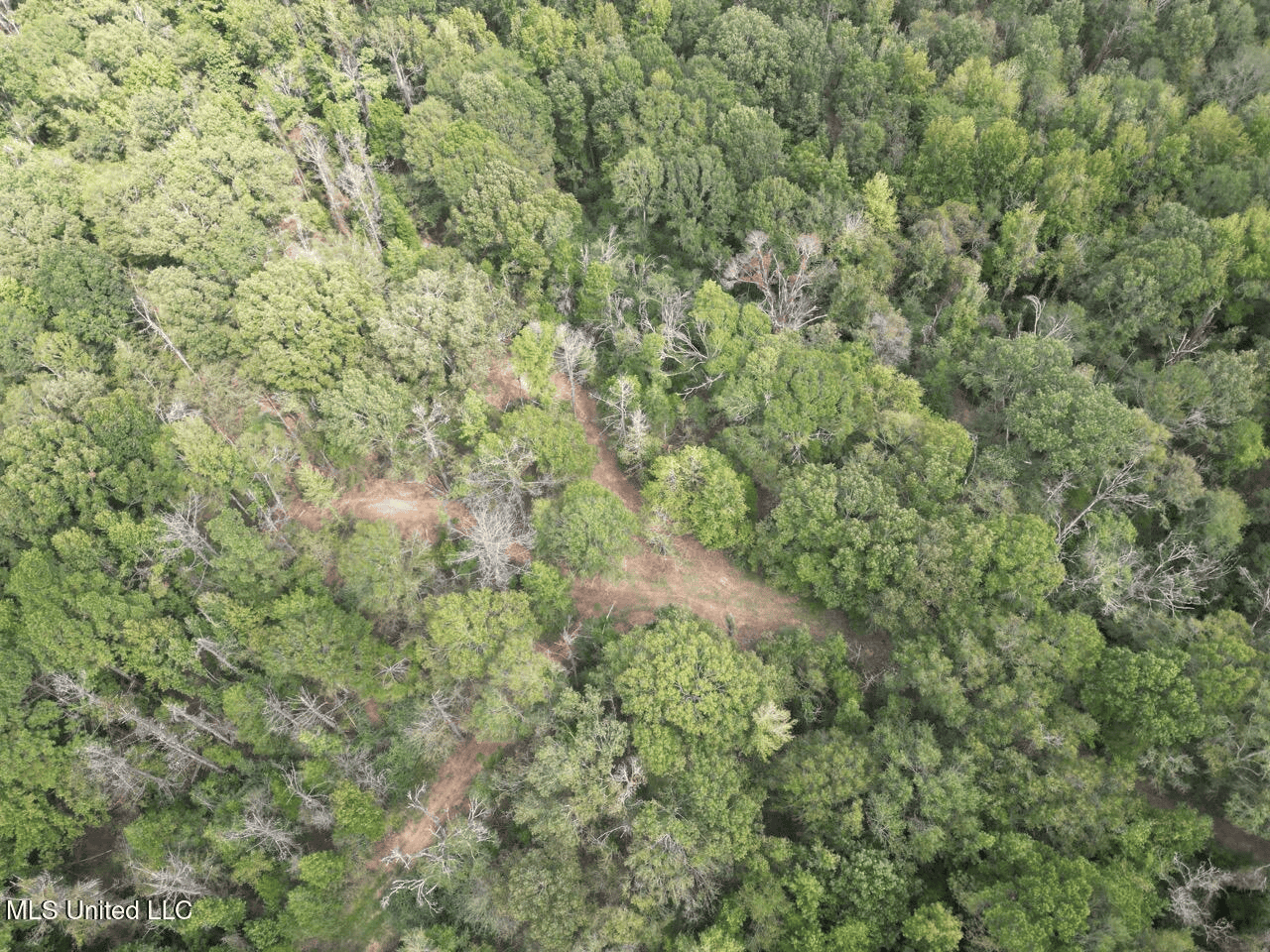 Hunting Land in Claiborne County, MS – The Sawmill 98