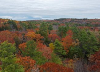 10 Acre Acreage on Quiet Dead End Road