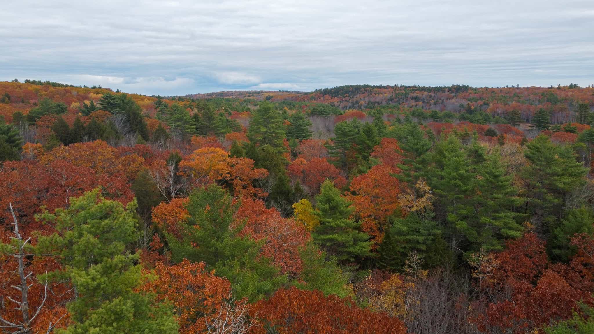 10 Acre Acreage on Quiet Dead End Road