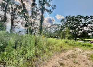 80 Acres in Walthall County