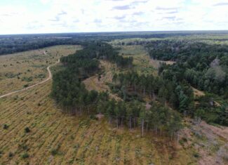 80-acre parcel in the Town of Big Flats