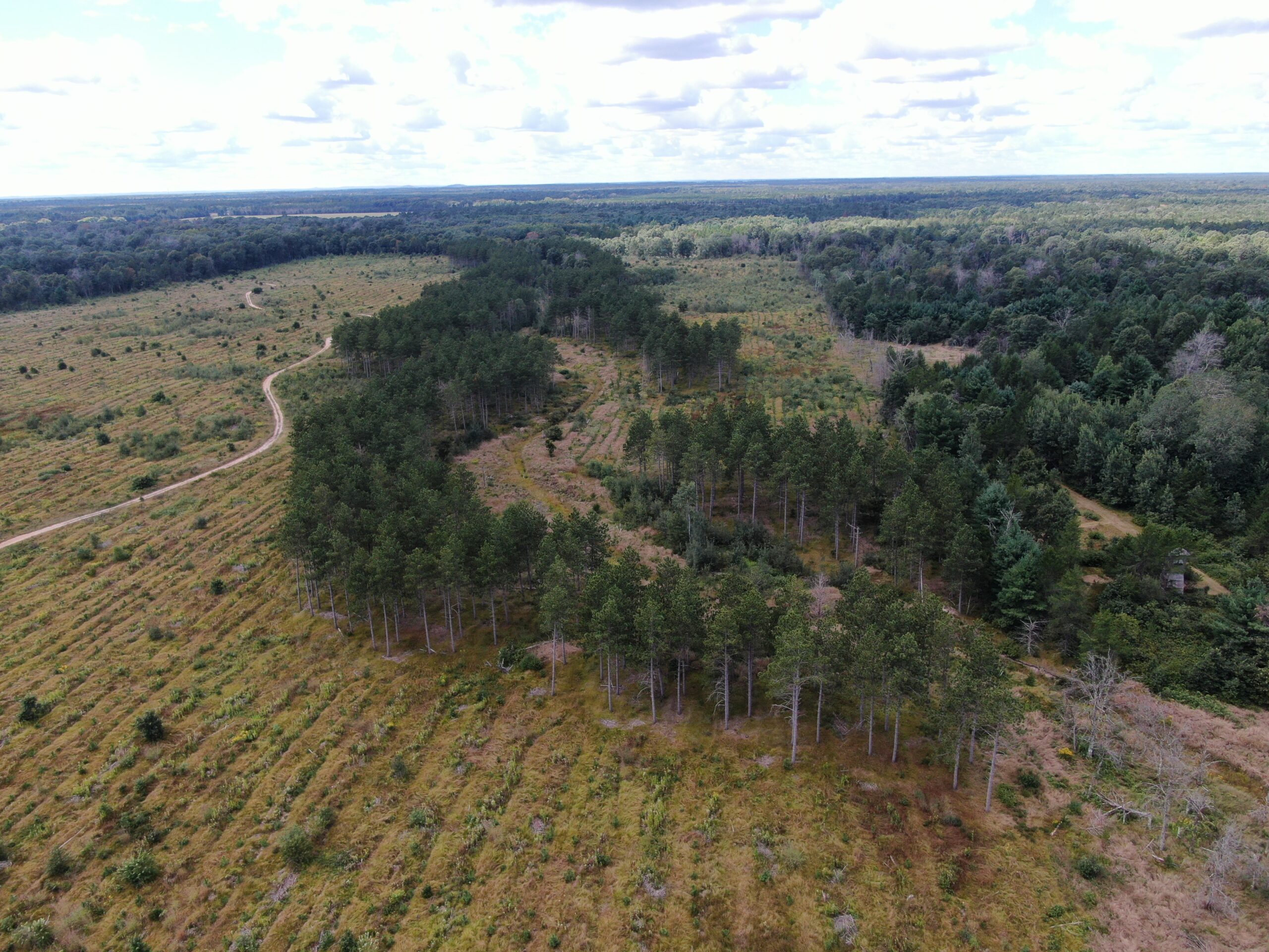 80-acre parcel in the Town of Big Flats