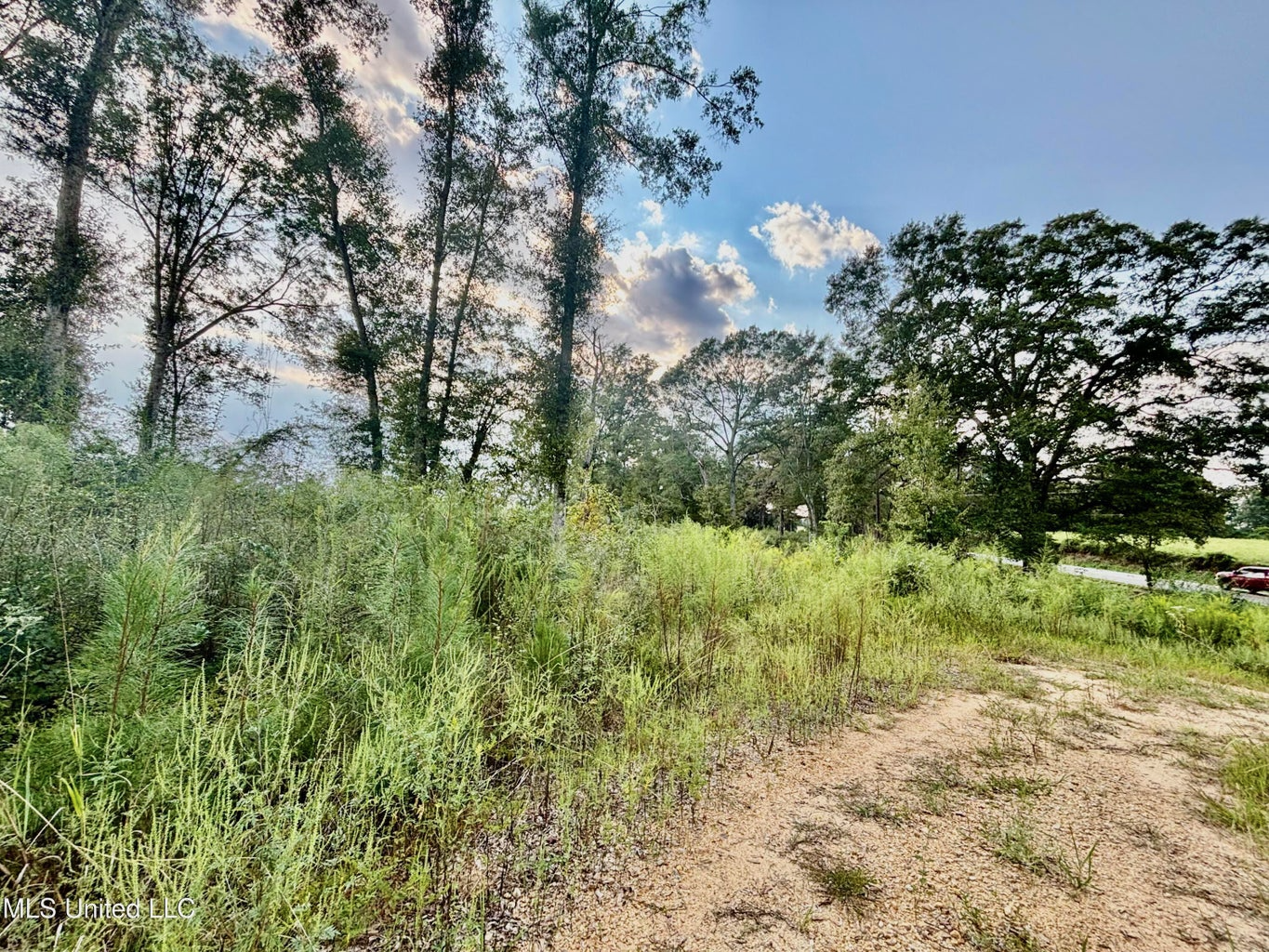 80 Acres in Walthall County