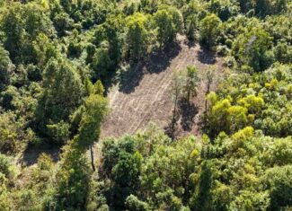 Yazoo River Hunting Tract 78.16 Acres