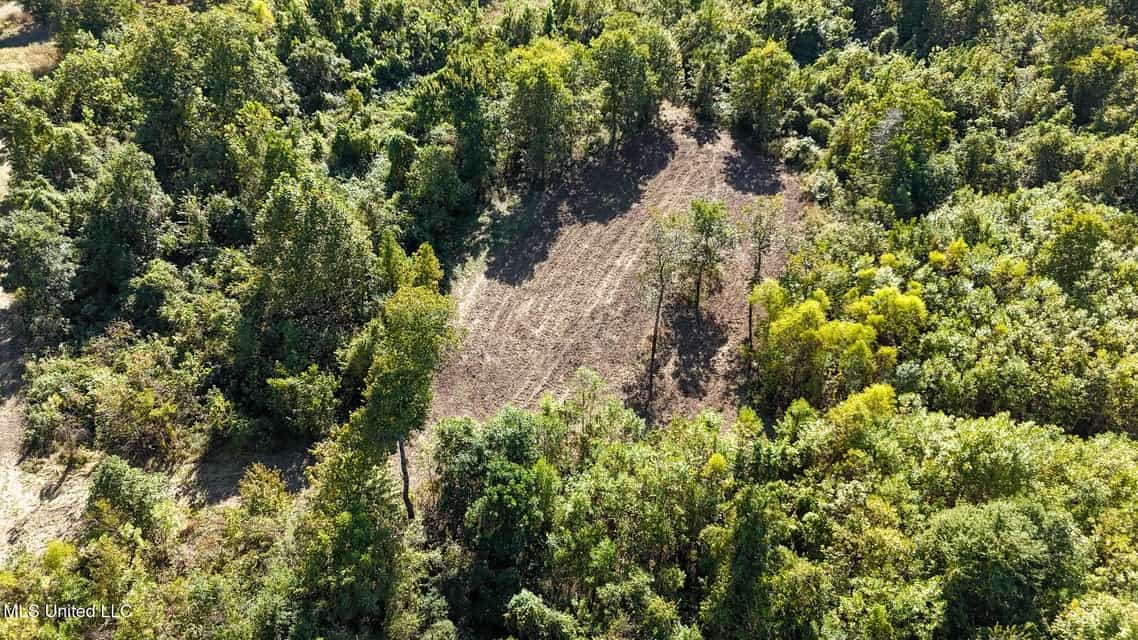 Yazoo River Hunting Tract 78.16 Acres