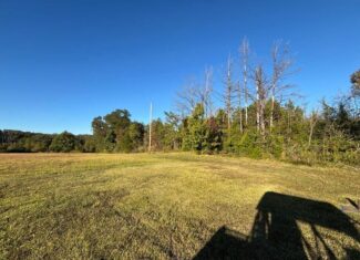 28 Acres for Sale South Jackson, Hinds County, MS