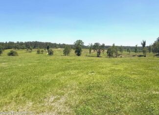 Rolling Hills Pastureland and Wooded land for sale