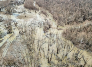 Southside Land Share for Sale in Jefferson County, MS