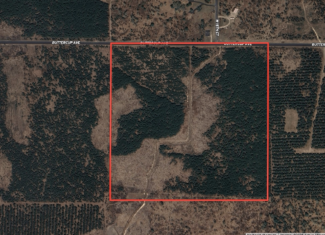 40-acre timber tract in Adams County