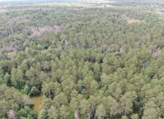 Escape to 80 acres of heavily timbered ground in Adams County