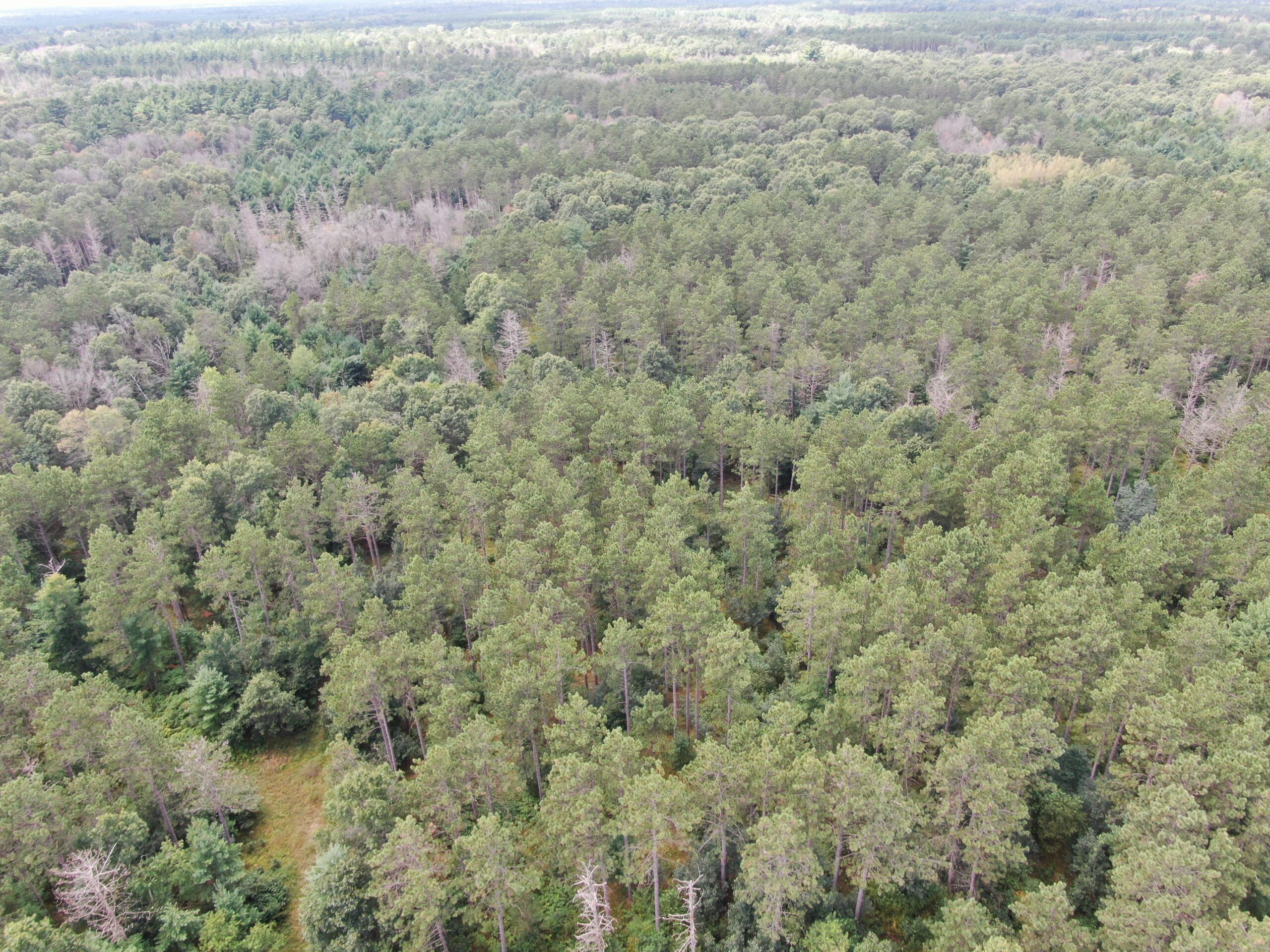 Escape to 80 acres of heavily timbered ground in Adams County