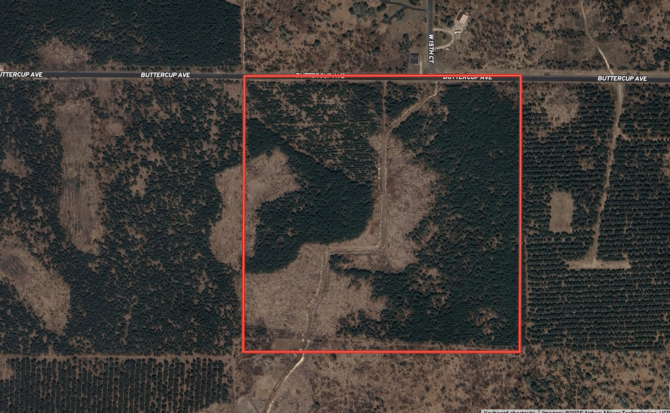 40-acre timber tract in Adams County