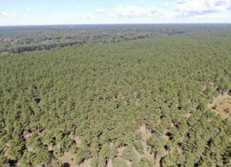 37.77-acre wooded parcel in the Town of Rome