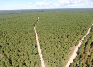 40-acre wooded parcel in the Town of Rome