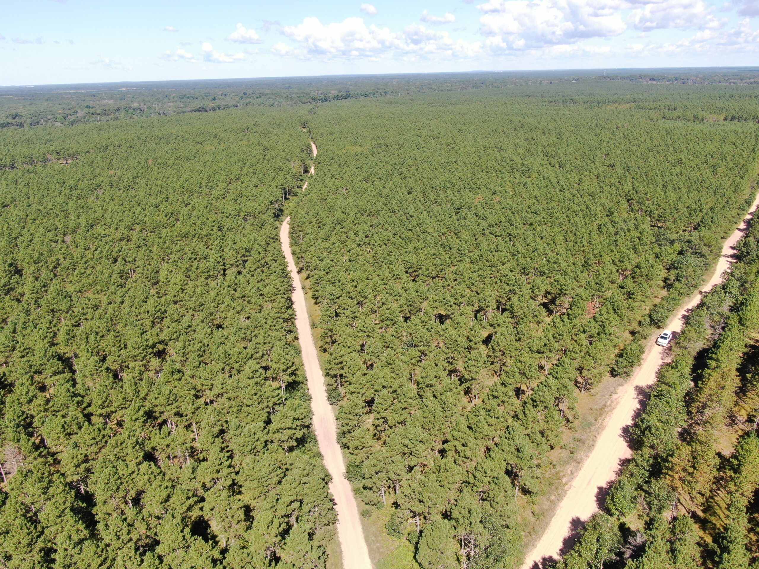 40-acre wooded parcel in the Town of Rome