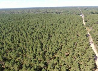 77-acre timber tract in the Town of Rome