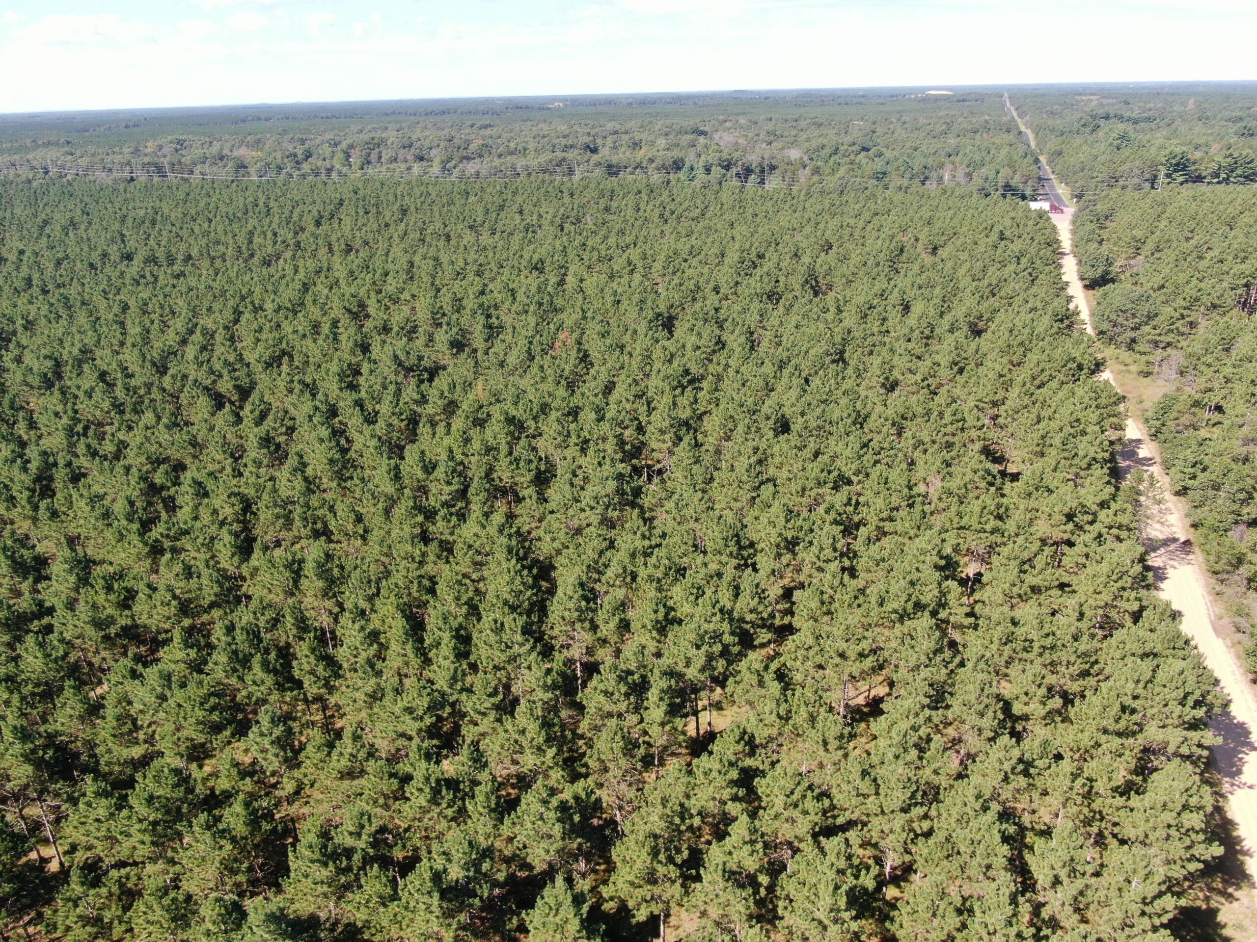 77-acre timber tract in the Town of Rome