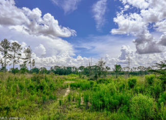 Land for Sale in Amite County, MS