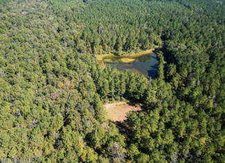 203 Acres in Smithdale MS – Turnkey Hunting Retreat