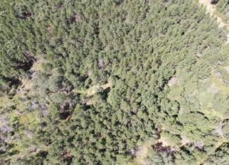 40 acres of recreational land in the Town of Monroe, Adams County