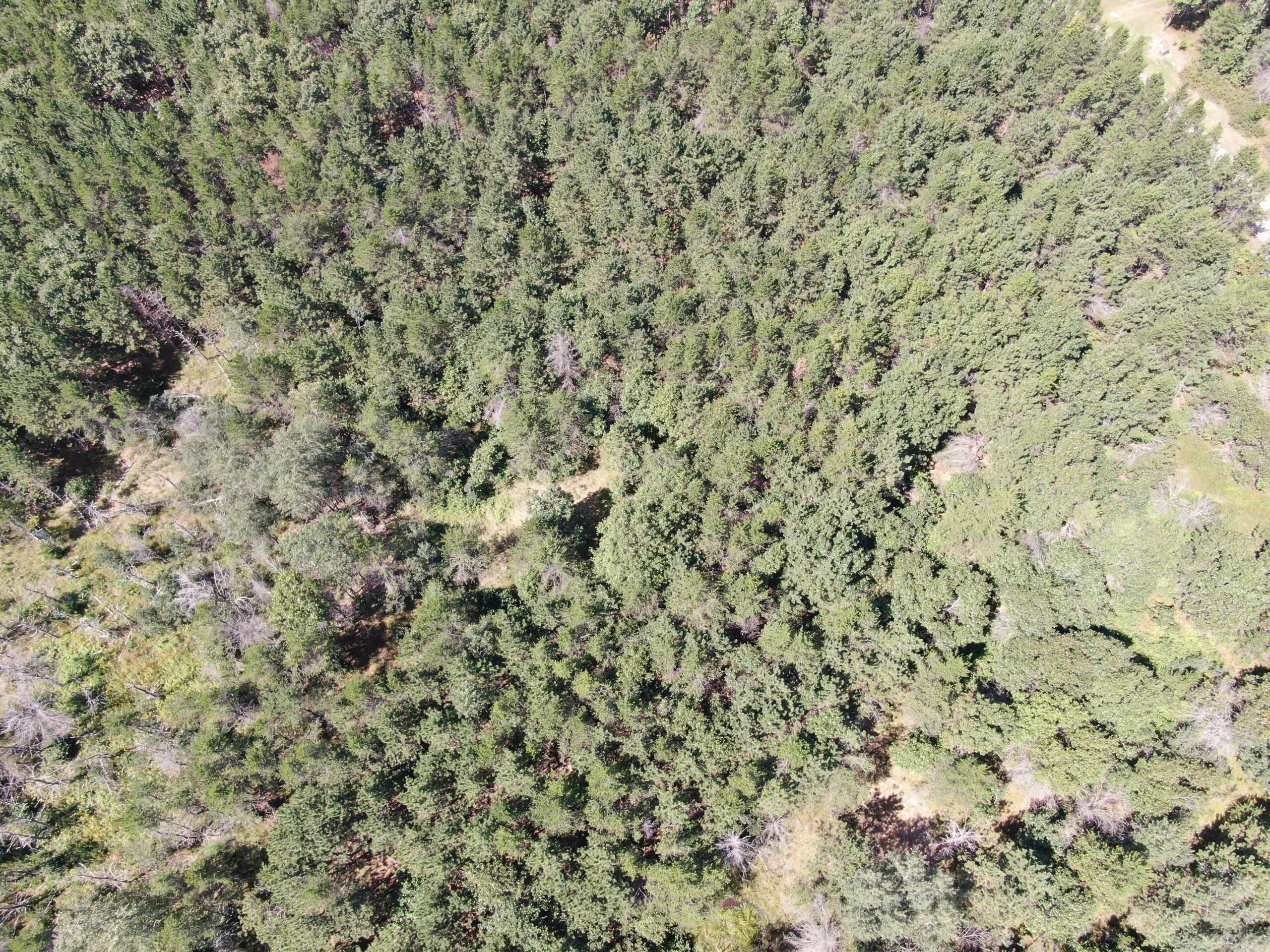 40 acres of recreational land in the Town of Monroe, Adams County
