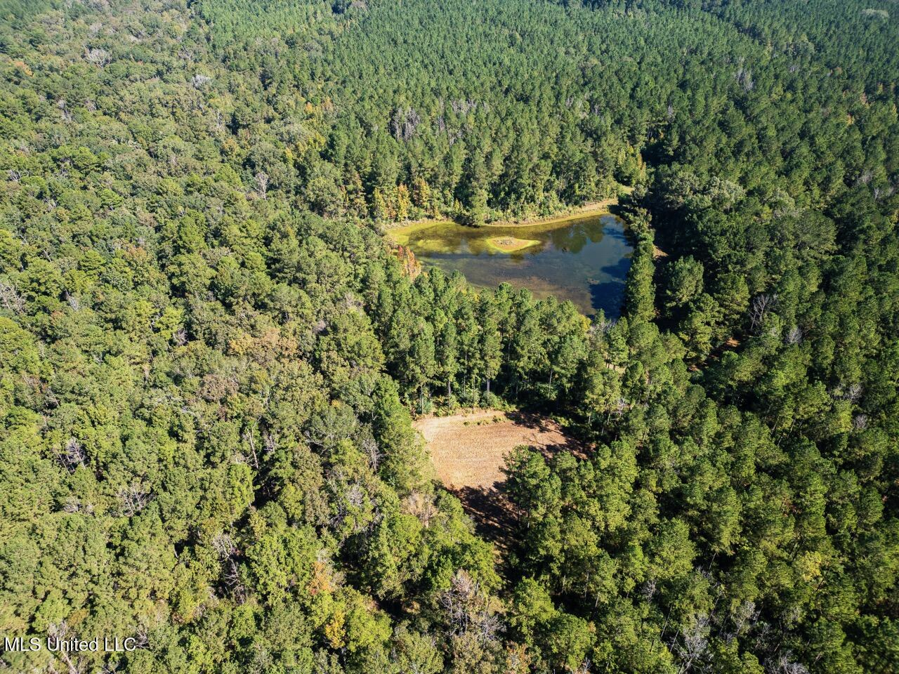203 Acres in Smithdale MS – Turnkey Hunting Retreat