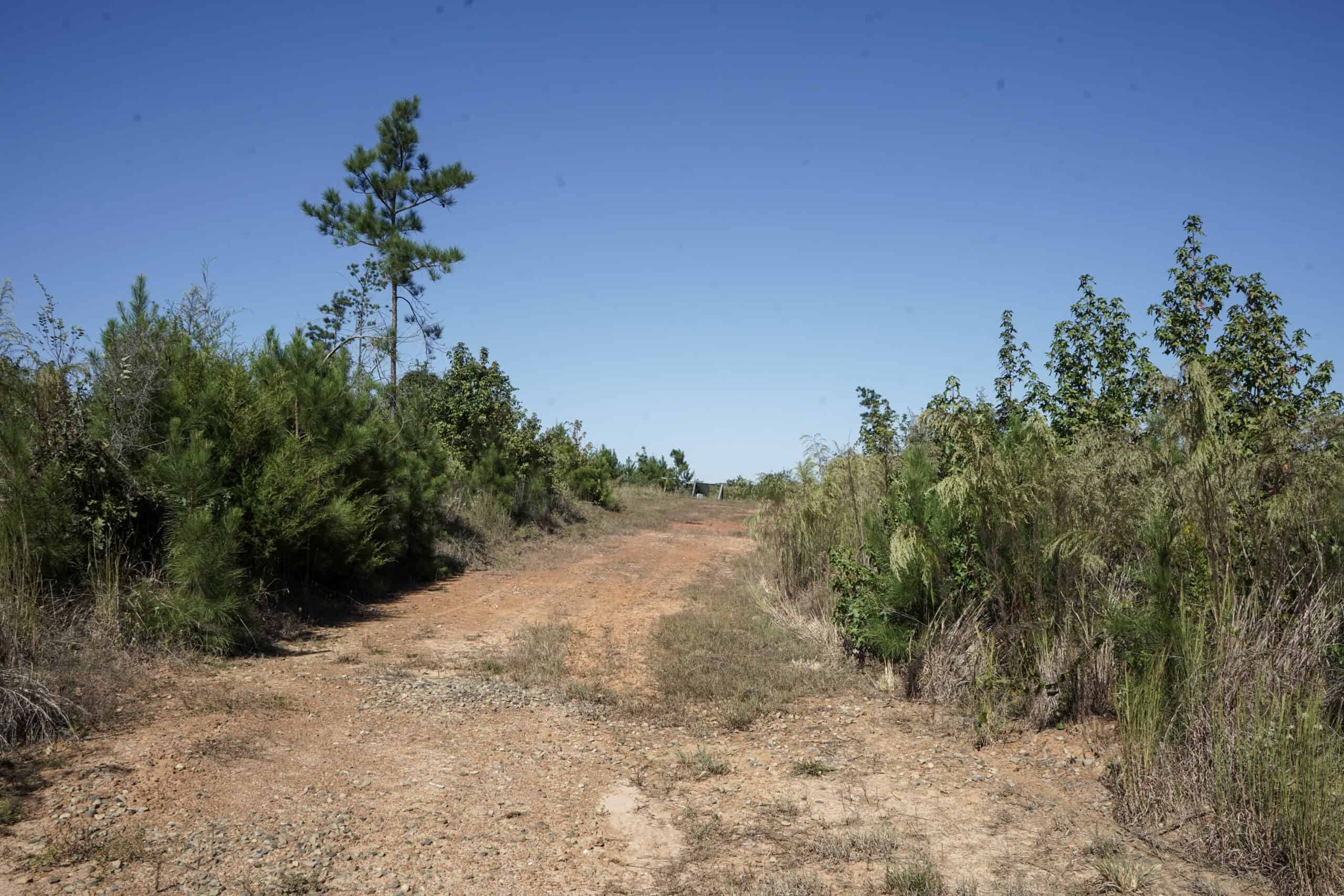 Affordable Lincoln Parish Land for Sale – Tract 4