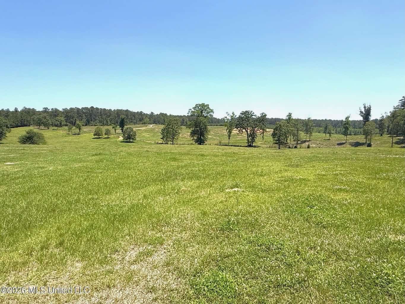 Rolling Hills Pastureland and Wooded land for sale
