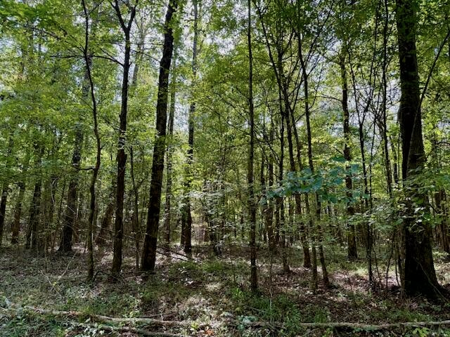 Mississippi Land For Sale With A Creek