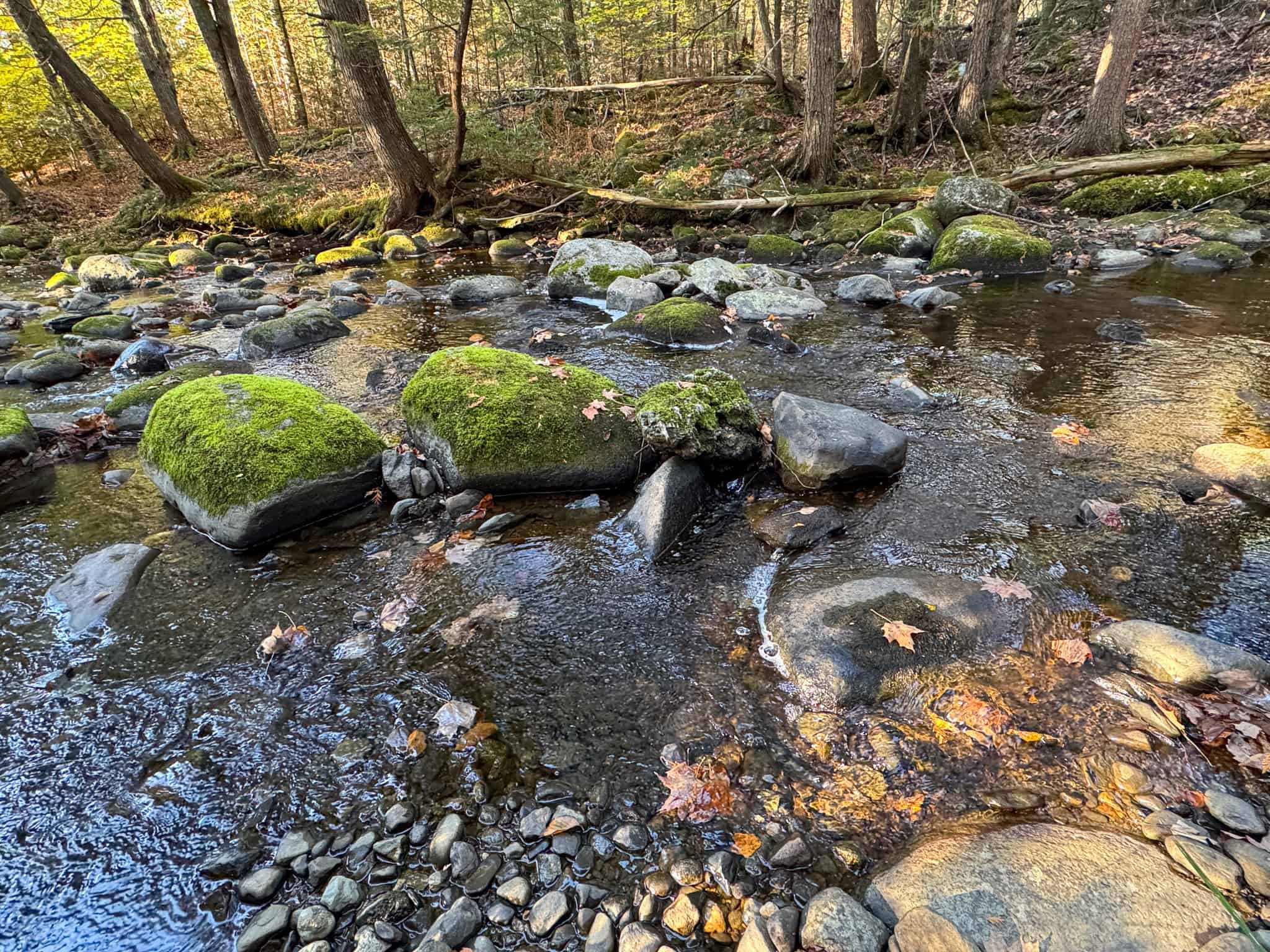 Off-Grid Maine Homestead with Dual Cabins, Solar Power & 49± Acres