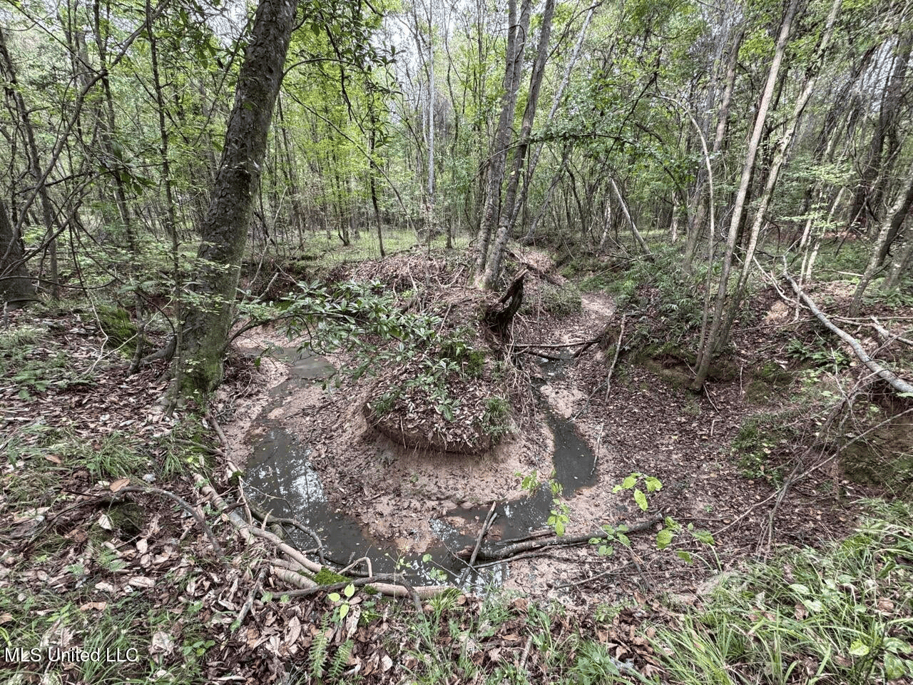 Hunting Land in Claiborne County, MS – The Sawmill 98