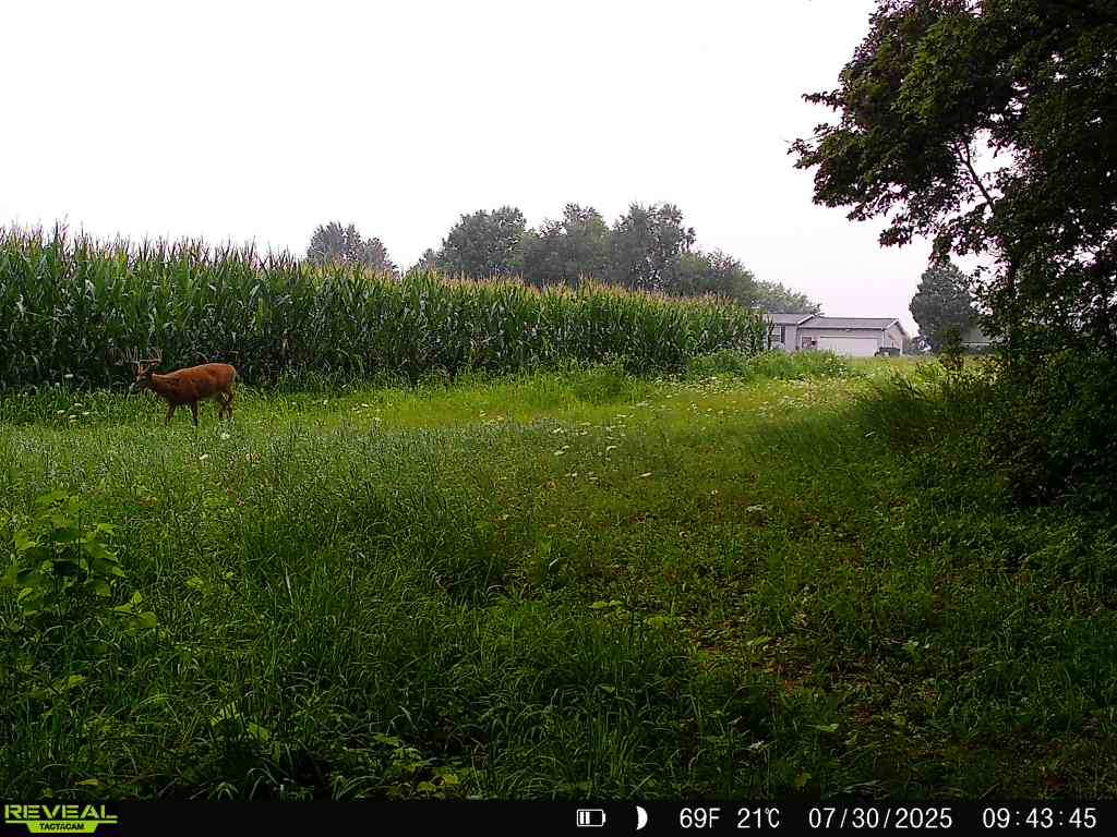 28± acre Sauk County Gem of a Property