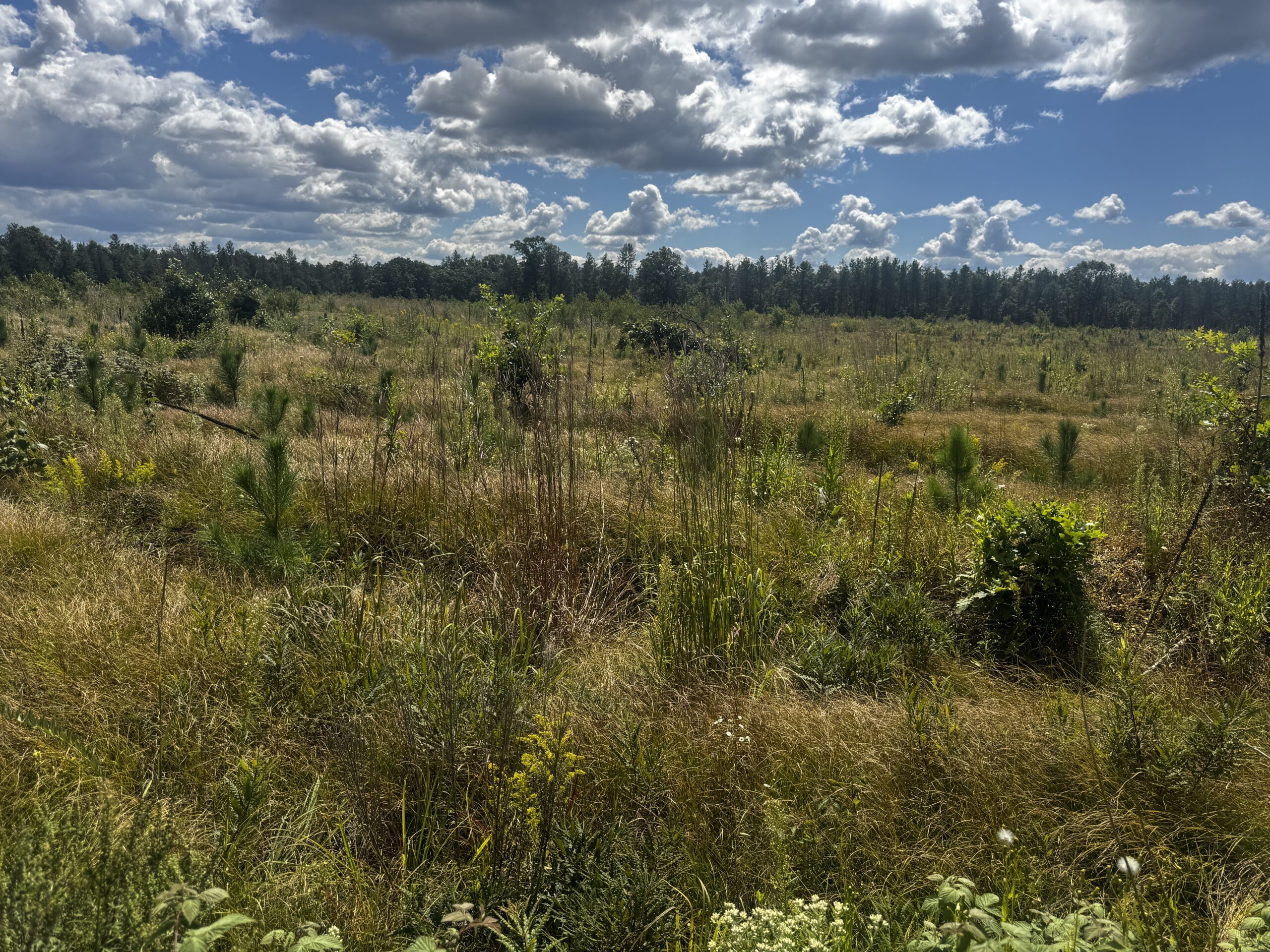 80-acre parcel in the Town of Big Flats