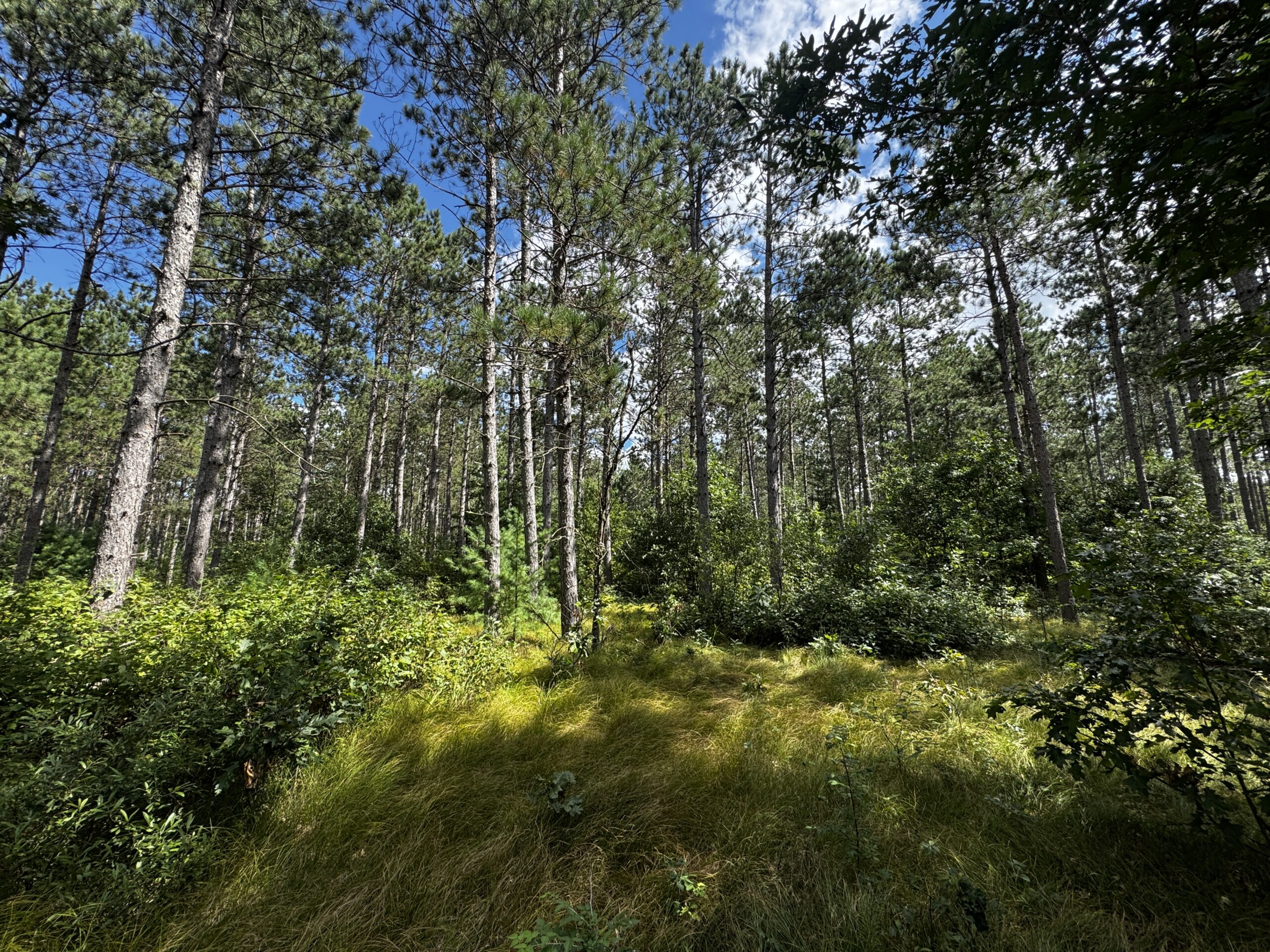 Escape to 80 acres of heavily timbered ground in Adams County