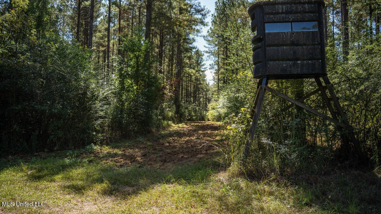203 Acres in Smithdale MS – Turnkey Hunting Retreat