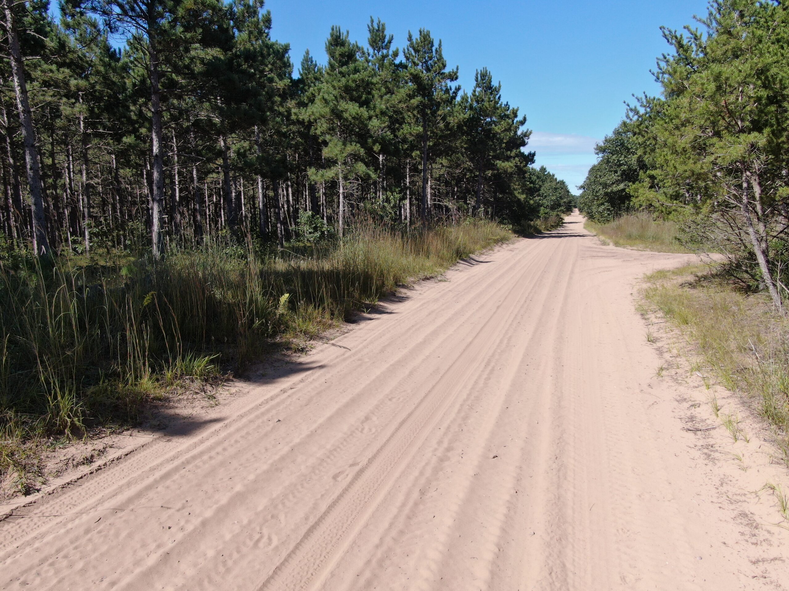 77-acre timber tract in the Town of Rome